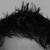 :icon2DGalleria:
