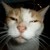 :icon2dlover321: