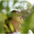 :icon2dpphotography:
