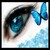 :icon2hollyblue:
