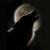 :icon2jan2: