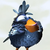 :icon2lyne: