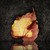 :icon2manyb0x: