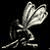 :icon2ninjabee2: