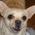 :icon2old2: