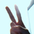 :icon2xtheawesome: