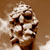 :icon30245: