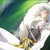 :icon30stmcooklover: