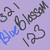 :icon321blueblossom123: