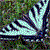 333holifin :icon333holifin: