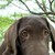 :icon338373ccr: