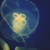 :icon365re2c: