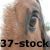 :icon37-stock: