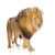 :icon3-birds: