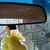 :icon3bitner3: