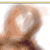 :icon3dcreations:
