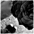 :icon3dgml: