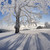 :icon3dsark: