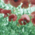 :icon3esther3: