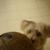 :icon3guna: