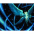 :icon3kittie3: