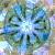 :icon3legracehorse: