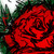 :icon3lio: