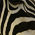 :icon3lliekay: