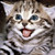 :icon3mmaqwe: