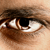 :icon3naturesongs: