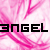 :icon3ngel: