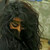 :icon3no0odyz: