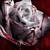 :icon3xyoutube: