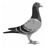 :icon400g: