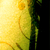 :icon4077: