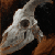 :icon413: