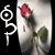 :icon41kitty: