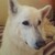 :icon420marley: