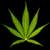 :icon420writer:
