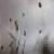 :icon42t-i-m42: