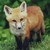 :icon4528427: