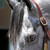 :icon4832: