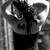 :icon4-a-reason: