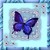 :icon4-angels8: