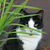 :icon4-hforever: