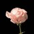 4Autumn :icon4autumn: