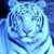 :icon4bluetiger: