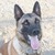 :icon4dogowner:
