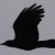 :icon4estfire: