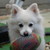 :icon4everastar: